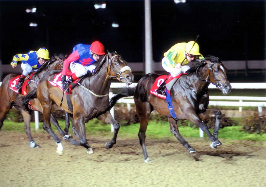 Rogue Element Dundalk 14th October 2011
